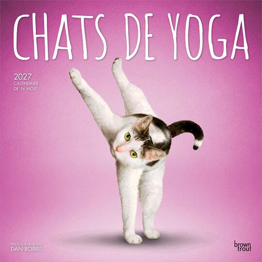 BrownTrout Canada; Chats de Yoga OFFICIEL | 2027 12 x 24 Inch (Hanging) Monthly Square Wall Calendar | French Language; Category:Wall Calendars; Image:1